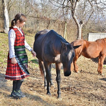 Ecopark Elena 호텔 외부 사진