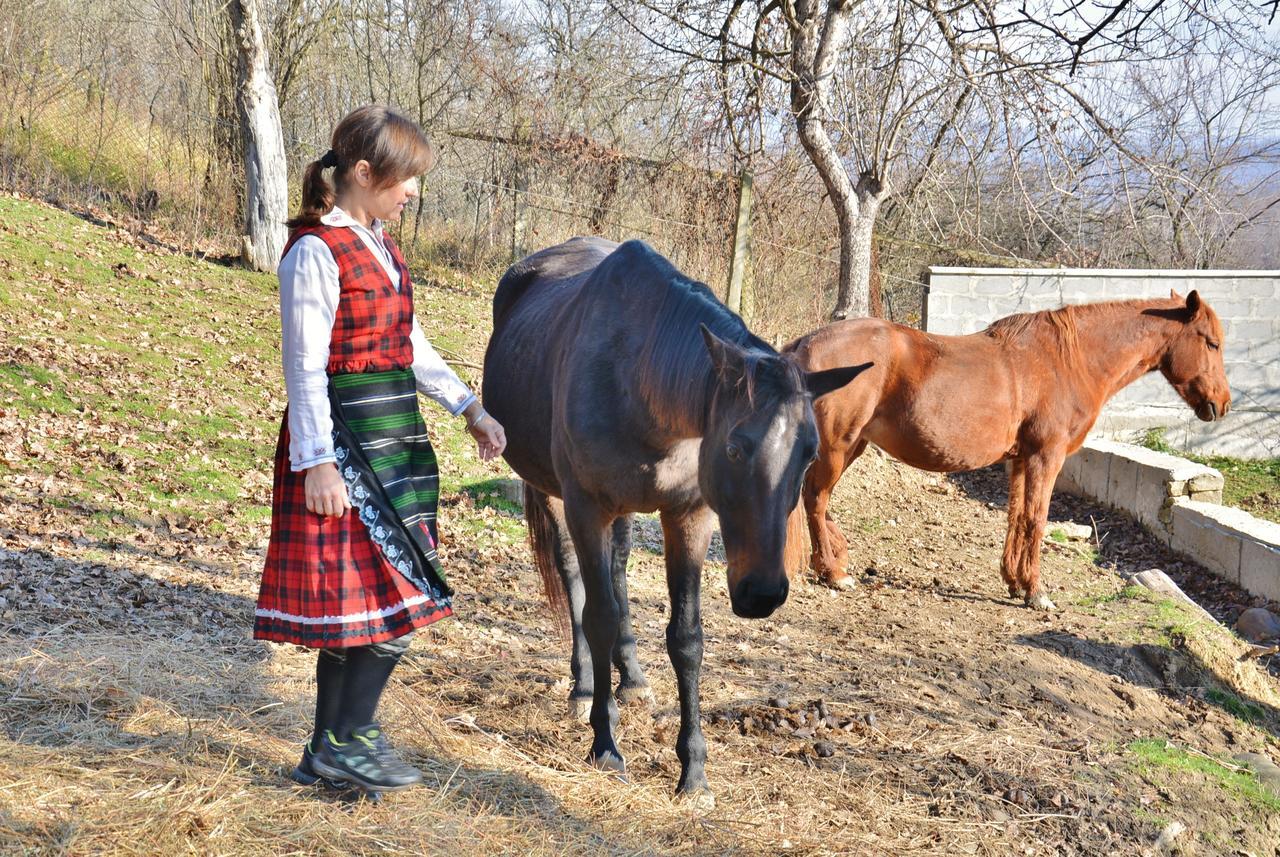 Ecopark Elena 호텔 외부 사진