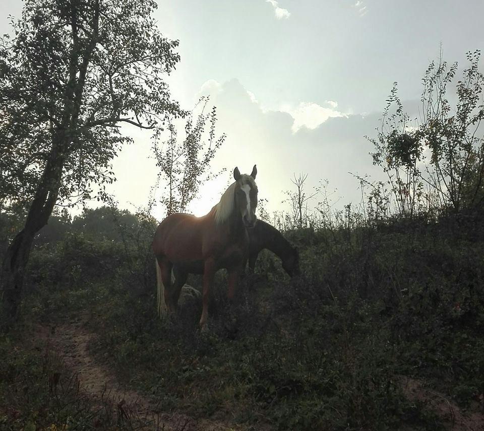 Ecopark Elena 호텔 외부 사진