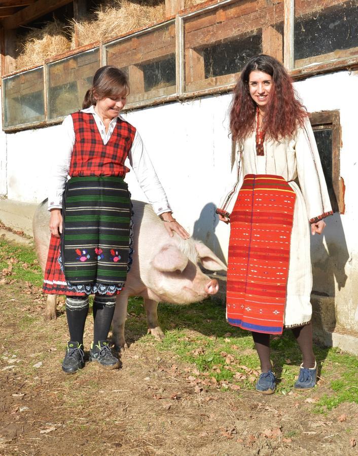Ecopark Elena 호텔 외부 사진