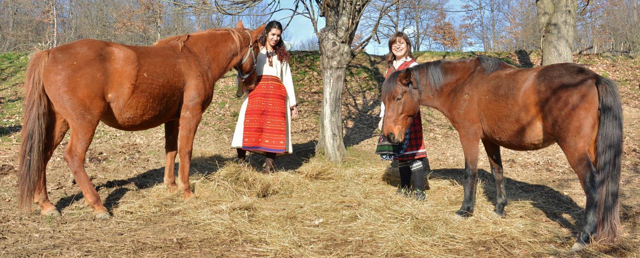 Ecopark Elena 호텔 외부 사진